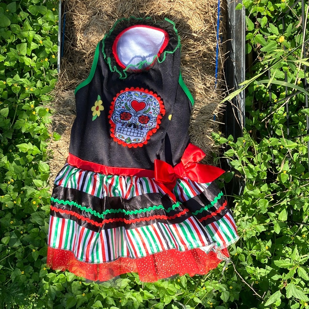Colorful Day of the Dead Pets Costume XL